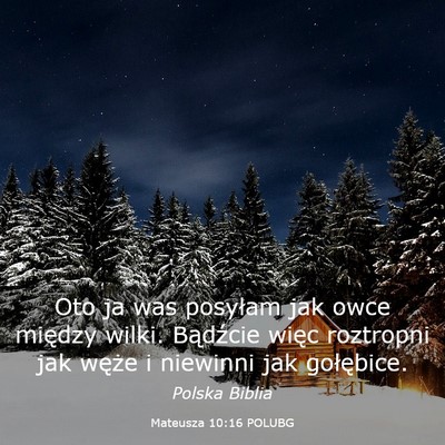 Picture 03 - Mateusza 10:16 POLUBG - Oto ja was posyłam jak owce między wilki. - Bible Verse Picture
