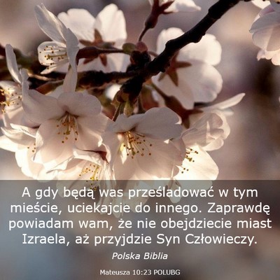 Picture 03 - Mateusza 10:23 POLUBG - A gdy będą was prześladować w tym mieście, - Bible Verse Picture