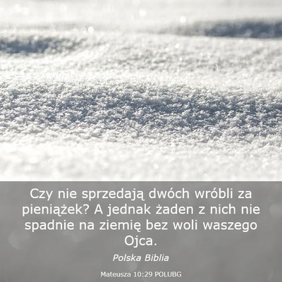 Picture 03 - Mateusza 10:29 POLUBG - Czy nie sprzedają dwóch wróbli za pieniążek? - Bible Verse Picture