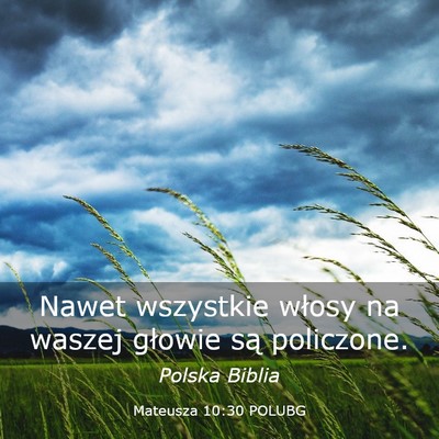 Picture 03 - Mateusza 10:30 POLUBG - Nawet wszystkie włosy na waszej głowie są - Bible Verse Picture
