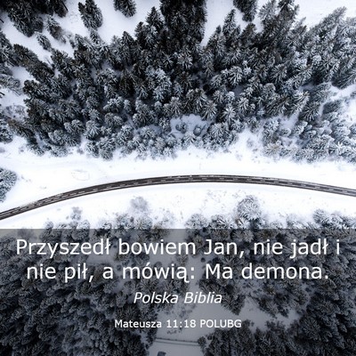Picture 03 - Mateusza 11:18 POLUBG - Przyszedł bowiem Jan, nie jadł i nie pił, a - Bible Verse Picture