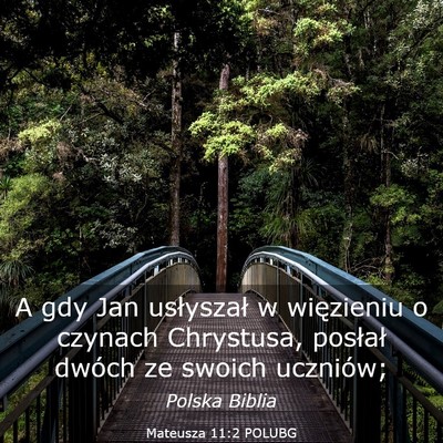 Picture 03 - Mateusza 11:2 POLUBG - A gdy Jan usłyszał w więzieniu o czynach - Bible Verse Picture