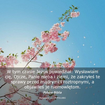 Picture 03 - Mateusza 11:25 POLUBG - W tym czasie Jezus powiedział: Wysławiam cię, - Bible Verse Picture