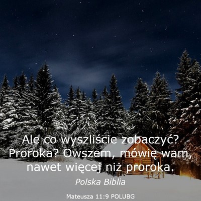 Picture 03 - Mateusza 11:9 POLUBG - Ale co wyszliście zobaczyć? Proroka? Owszem, - Bible Verse Picture