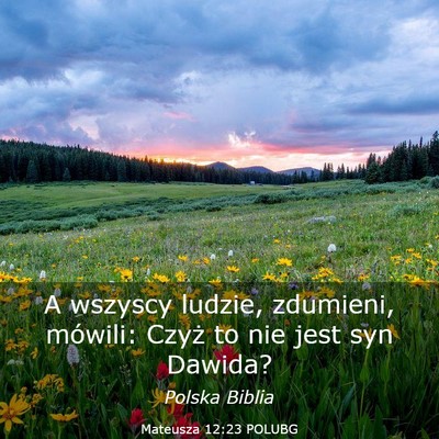 Picture 03 - Mateusza 12:23 POLUBG - A wszyscy ludzie, zdumieni, mówili: Czyż to nie - Bible Verse Picture