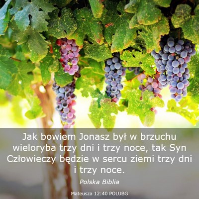 Picture 03 - Mateusza 12:40 POLUBG - Jak bowiem Jonasz był w brzuchu wieloryba trzy - Bible Verse Picture