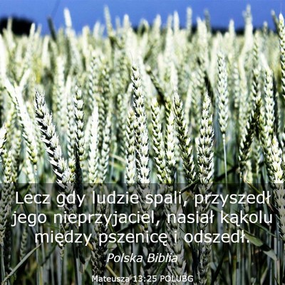 Picture 03 - Mateusza 13:25 POLUBG - Lecz gdy ludzie spali, przyszedł jego - Bible Verse Picture