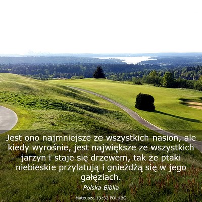 Picture 03 - Mateusza 13:32 POLUBG - Jest ono najmniejsze ze wszystkich nasion, ale - Bible Verse Picture