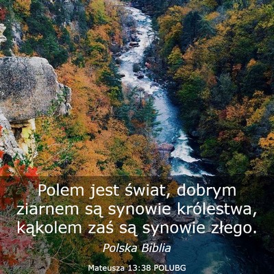Picture 03 - Mateusza 13:38 POLUBG - Polem jest świat, dobrym ziarnem są synowie - Bible Verse Picture
