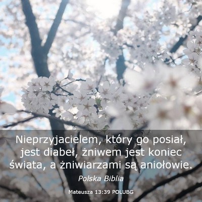 Picture 03 - Mateusza 13:39 POLUBG - Nieprzyjacielem, który go posiał, jest diabeł, - Bible Verse Picture