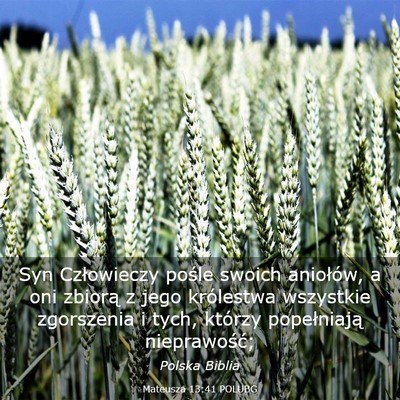 Picture 03 - Mateusza 13:41 POLUBG - Syn Człowieczy pośle swoich aniołów, a oni - Bible Verse Picture
