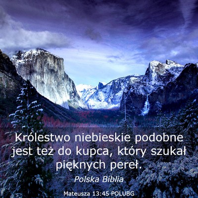 Picture 03 - Mateusza 13:45 POLUBG - Królestwo niebieskie podobne jest też do kupca, - Bible Verse Picture