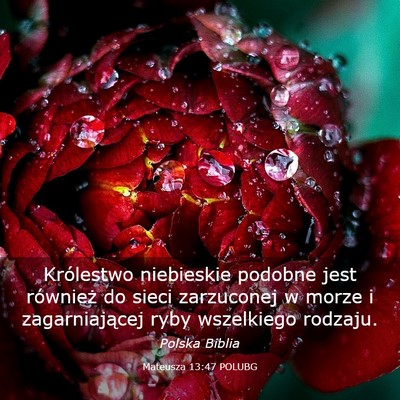 Picture 03 - Mateusza 13:47 POLUBG - Królestwo niebieskie podobne jest również do - Bible Verse Picture