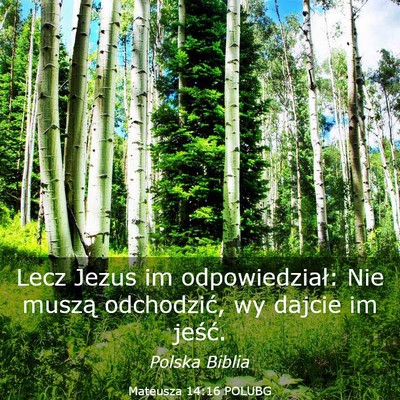 Picture 03 - Mateusza 14:16 POLUBG - Lecz Jezus im odpowiedział: Nie muszą - Bible Verse Picture
