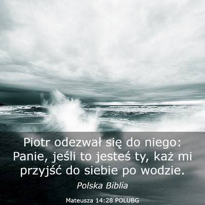 Picture 03 - Mateusza 14:28 POLUBG - Piotr odezwał się do niego: Panie, jeśli to - Bible Verse Picture