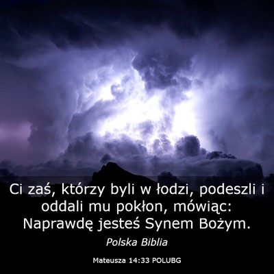 Picture 03 - Mateusza 14:33 POLUBG - Ci zaś, którzy byli w łodzi, podeszli i oddali - Bible Verse Picture