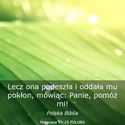 Picture 03 - Mateusza 15:25 POLUBG - Lecz ona podeszła i oddała mu pokłon, - Bible Verse Picture