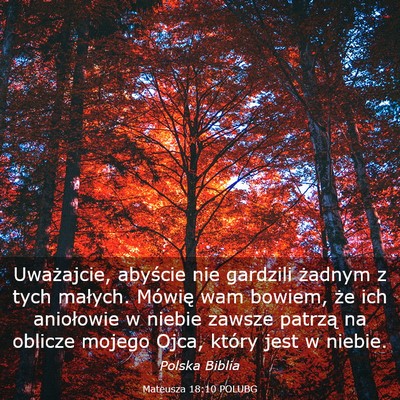 Picture 03 - Mateusza 18:10 POLUBG - Uważajcie, abyście nie gardzili żadnym z tych - Bible Verse Picture