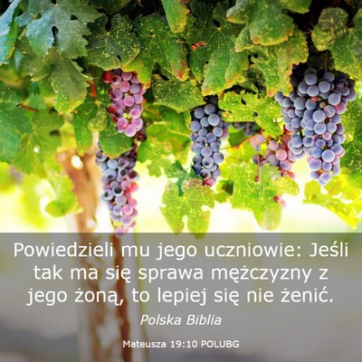 Picture 03 - Mateusza 19:10 POLUBG - Powiedzieli mu jego uczniowie: Jeśli tak ma się - Bible Verse Picture