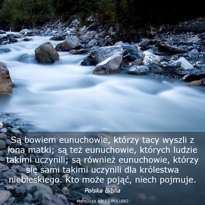 Picture 03 - Mateusza 19:12 POLUBG - Są bowiem eunuchowie, którzy tacy wyszli z - Bible Verse Picture