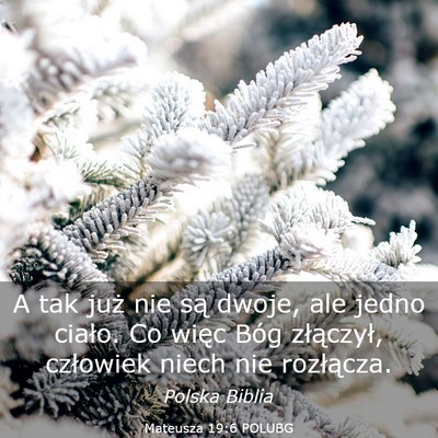 Picture 03 - Mateusza 19:6 POLUBG - A tak już nie są dwoje, ale jedno ciało. Co - Bible Verse Picture