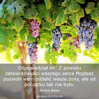 Picture 03 - Mateusza 19:8 POLUBG - Odpowiedział im: Z powodu zatwardziałości - Bible Verse Picture