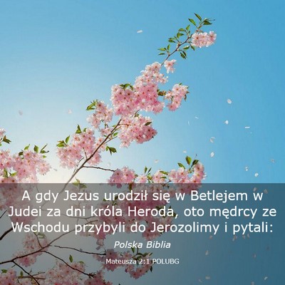 Picture 03 - Mateusza 2:1 POLUBG - A gdy Jezus urodził się w Betlejem w Judei za - Bible Verse Picture