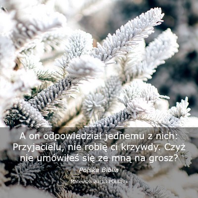 Picture 03 - Mateusza 20:13 POLUBG - A on odpowiedział jednemu z nich: Przyjacielu, - Bible Verse Picture
