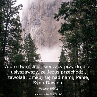 Picture 03 - Mateusza 20:30 POLUBG - A oto dwaj ślepi, siedzący przy drodze, - Bible Verse Picture