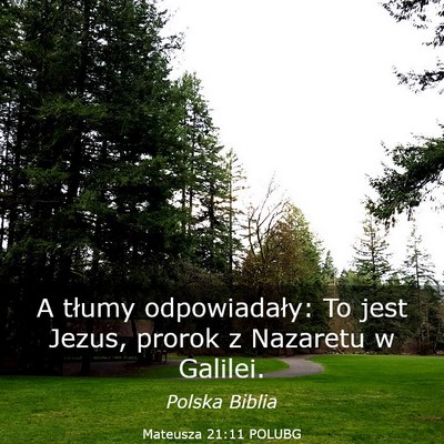 Picture 03 - Mateusza 21:11 POLUBG - A tłumy odpowiadały: To jest Jezus, prorok z - Bible Verse Picture