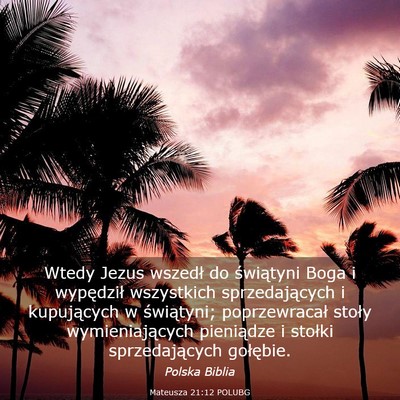 Picture 03 - Mateusza 21:12 POLUBG - Wtedy Jezus wszedł do świątyni Boga i - Bible Verse Picture