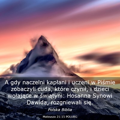 Picture 03 - Mateusza 21:15 POLUBG - A gdy naczelni kapłani i uczeni w Piśmie - Bible Verse Picture
