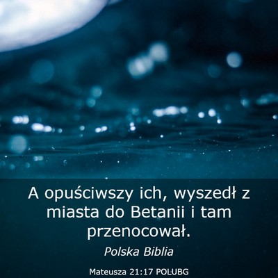 Picture 03 - Mateusza 21:17 POLUBG - A opuściwszy ich, wyszedł z miasta do Betanii i - Bible Verse Picture