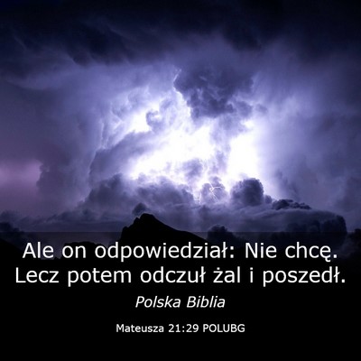 Picture 03 - Mateusza 21:29 POLUBG - Ale on odpowiedział: Nie chcę. Lecz potem - Bible Verse Picture