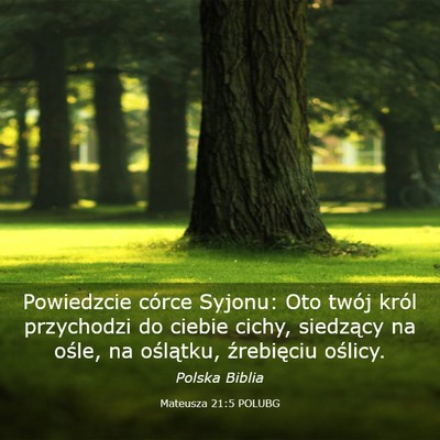 Picture 03 - Mateusza 21:5 POLUBG - Powiedzcie córce Syjonu: Oto twój król - Bible Verse Picture