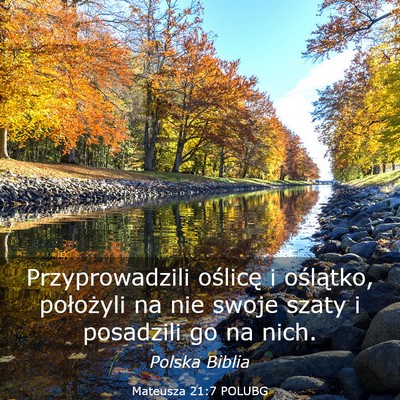 Picture 03 - Mateusza 21:7 POLUBG - Przyprowadzili oślicę i oślątko, położyli - Bible Verse Picture