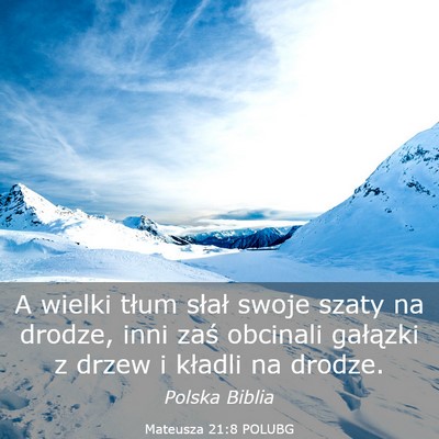 Picture 03 - Mateusza 21:8 POLUBG - A wielki tłum słał swoje szaty na drodze, inni - Bible Verse Picture