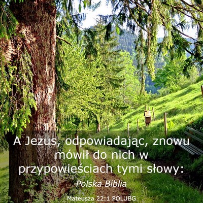 Picture 03 - Mateusza 22:1 POLUBG - A Jezus, odpowiadając, znowu mówił do nich w - Bible Verse Picture