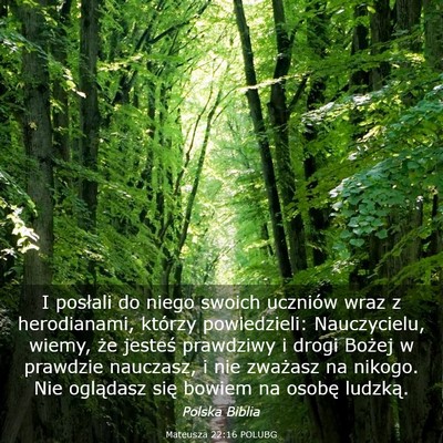 Picture 03 - Mateusza 22:16 POLUBG - I posłali do niego swoich uczniów wraz z - Bible Verse Picture