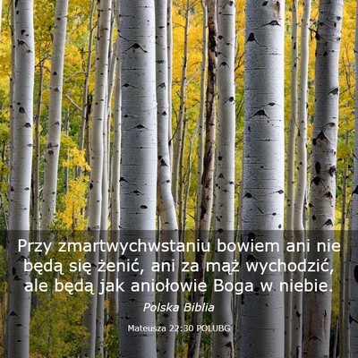 Picture 03 - Mateusza 22:30 POLUBG - Przy zmartwychwstaniu bowiem ani nie będą się - Bible Verse Picture
