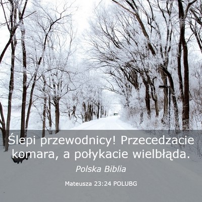 Picture 03 - Mateusza 23:24 POLUBG - Ślepi przewodnicy! Przecedzacie komara, a - Bible Verse Picture