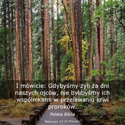 Picture 03 - Mateusza 23:30 POLUBG - I mówicie: Gdybyśmy żyli za dni naszych - Bible Verse Picture