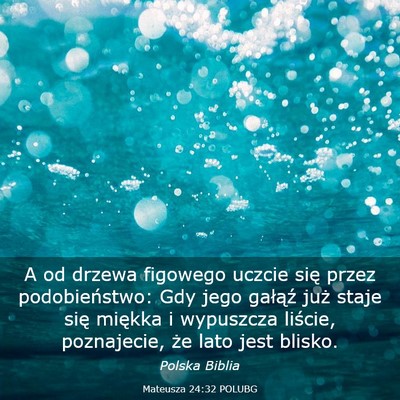 Picture 03 - Mateusza 24:32 POLUBG - A od drzewa figowego uczcie się przez - Bible Verse Picture