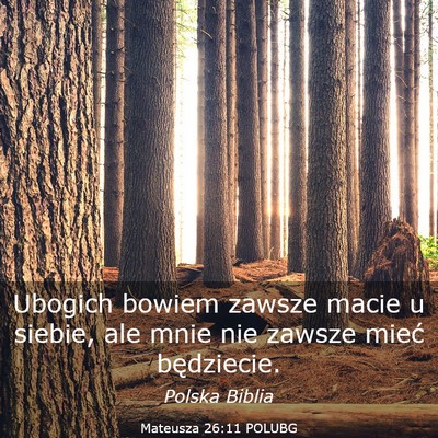 Picture 03 - Mateusza 26:11 POLUBG - Ubogich bowiem zawsze macie u siebie, ale mnie - Bible Verse Picture