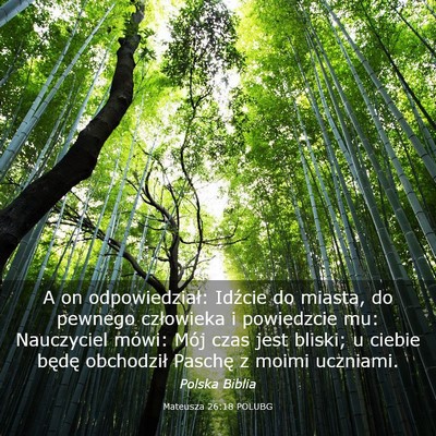 Picture 03 - Mateusza 26:18 POLUBG - A on odpowiedział: Idźcie do miasta, do pewnego - Bible Verse Picture