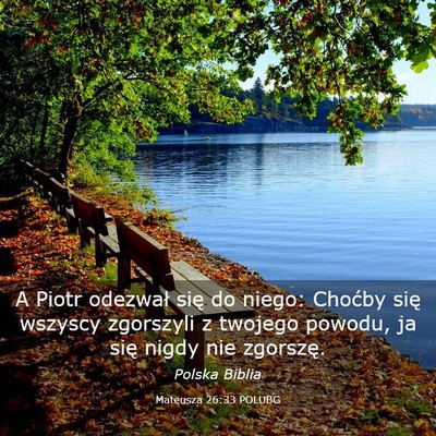 Picture 03 - Mateusza 26:33 POLUBG - A Piotr odezwał się do niego: Choćby się - Bible Verse Picture