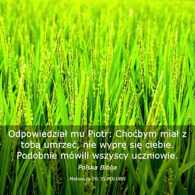 Picture 03 - Mateusza 26:35 POLUBG - Odpowiedział mu Piotr: Choćbym miał z tobą - Bible Verse Picture