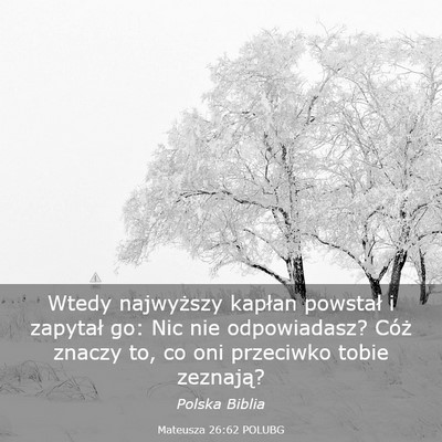 Picture 03 - Mateusza 26:62 POLUBG - Wtedy najwyższy kapłan powstał i zapytał go: - Bible Verse Picture