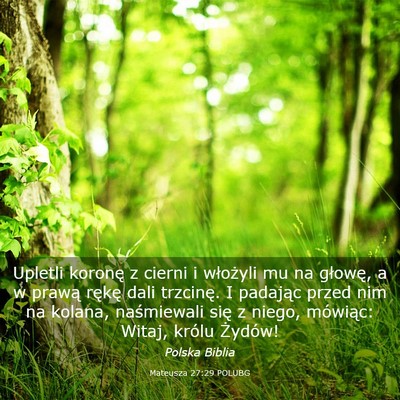 Picture 03 - Mateusza 27:29 POLUBG - Upletli koronę z cierni i włożyli mu na - Bible Verse Picture