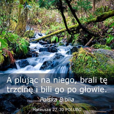 Picture 03 - Mateusza 27:30 POLUBG - A plując na niego, brali tę trzcinę i bili go - Bible Verse Picture